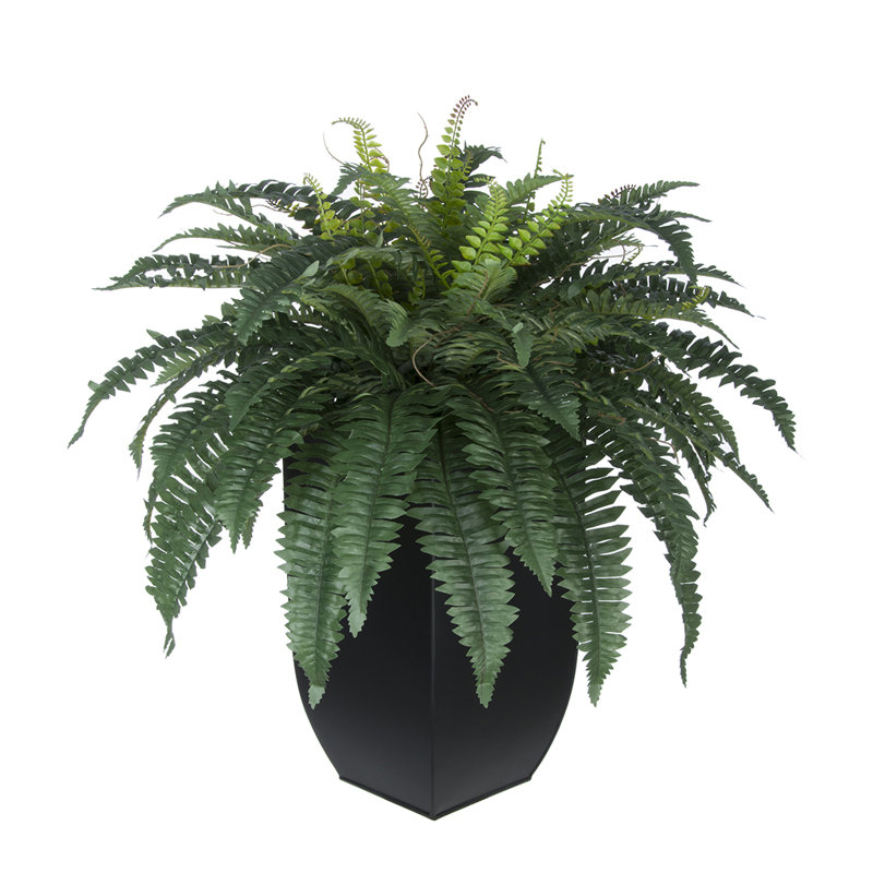 House of Silk Flowers Artificial Fern Floor Plant in Planter & Reviews